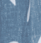 Image Attribute