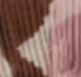 Image Attribute
